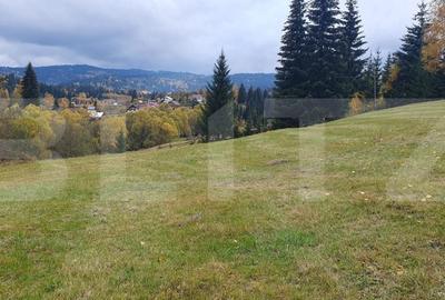 Teren de 4000 mp, în Șaru Dornei