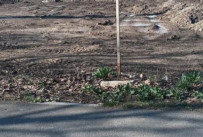 Teren de 4400 mp, în Sisești - 2