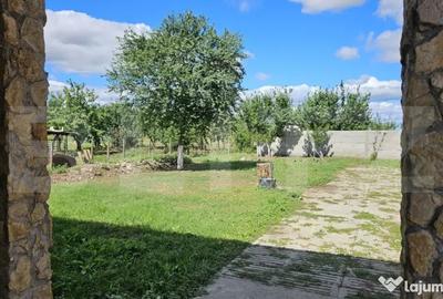 Casă cu 5 camere cu Teren 1000 Mp în Vetiș - 4