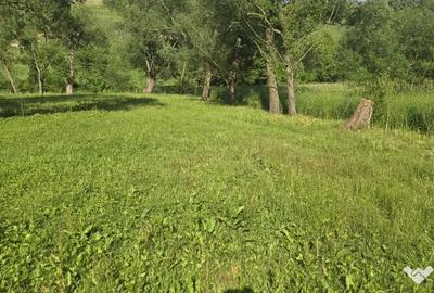 Casă cu 4 camere în Zaharești - 1
