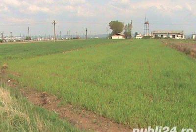 Teren de 3636 mp, în Oarja - 1