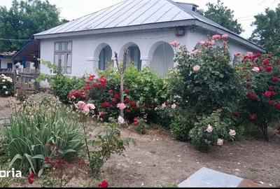 Casă cu 4 camere cu Teren 200 Mp în Ciorăști