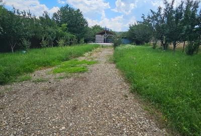 Teren Construcții intravilan de 1500 mp, în Tărlungeni - 1