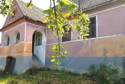 Casă cu Teren 2140 Mp în Delenii - 9