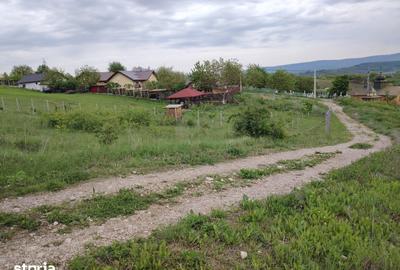 Teren de 1800 mp, în Lunca Cetățuii