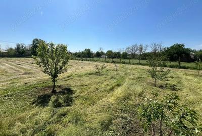 Teren de 1424 mp, în Bărcănești