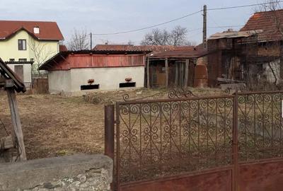 Teren de 1000 mp, în Brănișca - 3