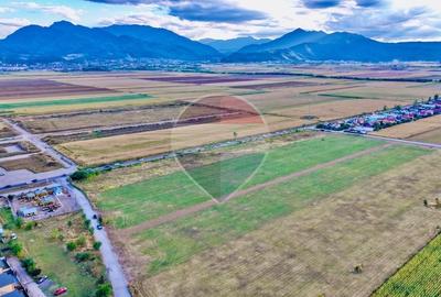 Teren Construcții intravilan de 600 mp, în Central
