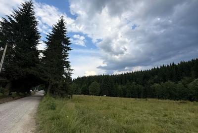 Teren Construcții intravilan de 1500 mp, în Comandău - 3