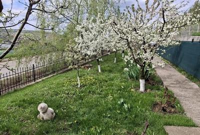 Casă cu 3 camere în Aroneanu - 4