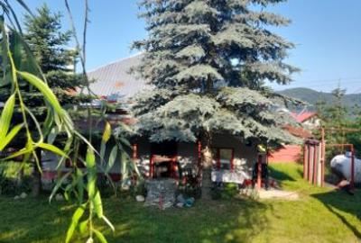 Casă cu 4 camere cu Teren 2890 Mp în Mihăești - 1