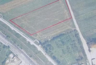 Teren de 10000 mp, în Central