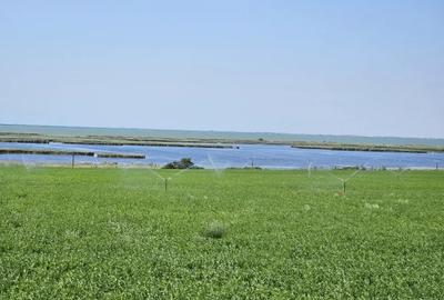 Teren de 5000 mp, în Jurilovca - 7