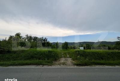 Teren de 4500 mp, în Voinești - 2