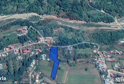 Spațiu comercial, în Drajna - 6