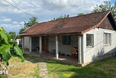 Casă cu 4 camere cu Teren 1162 Mp în Gepiu