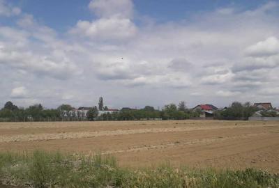 Spațiu comercial, în Mărăcineni - 5