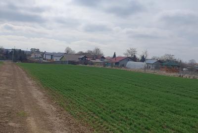 Teren agricol intravilan de 4500 mp, în Tâncăbești - 2