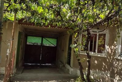 Casă cu 3 camere cu Teren 1000 Mp în Rogoz - 1