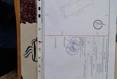 Teren de 534 mp, în Central