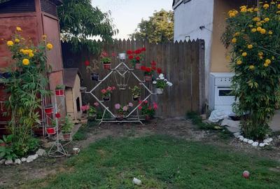 Casă cu 6 camere cu Teren 1401 Mp în Alioș - 1