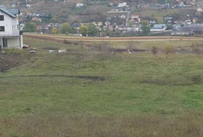 Teren de 4600 mp, în Iris - 7