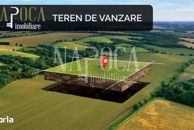 Teren de 970 mp, în Dâmbul Rotund