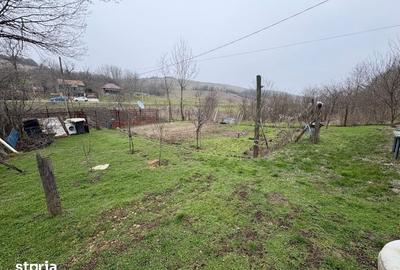 Teren de 2038 mp, în Ghercești - 13