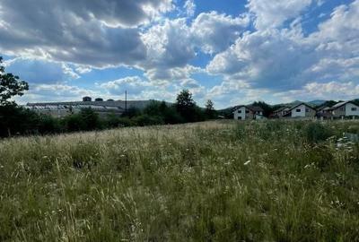 Teren de 1483 mp, în Tăuții-Măgherăuș - 1