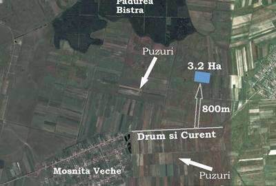 Teren de 32000 mp, în Moșnița Veche - 2