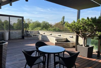 Penthouse cu 6 camere, mobilat în Herăstrău - 20