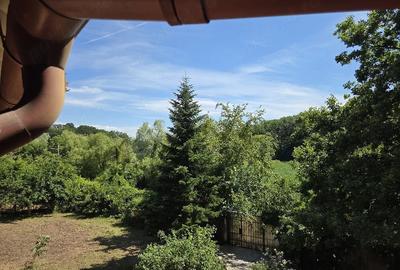 Casă cu Teren 1500 Mp în Bălteni - 4