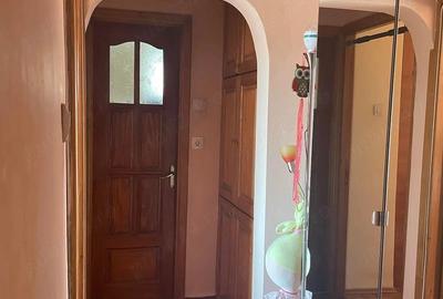 Apartament cu 3 camere decomandat în Paltiniș - 4