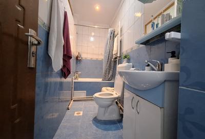 Apartament cu 2 camere decomandat, mobilat în Iosefin - 16