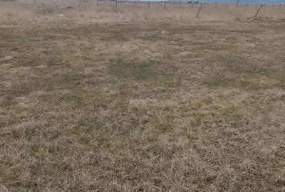 Teren de 3000 mp, în Țuțora - 1