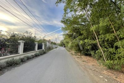Teren agricol intravilan de 1000 mp, în Tamași - 3