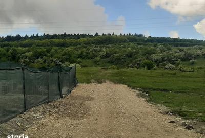 Teren de 4900 mp, în Feleacu