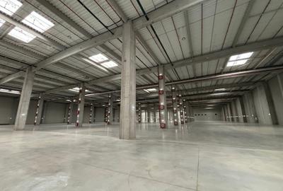 Spațiu industrial, de 20,000 mp, în Ștefăneștii de Jos - 2