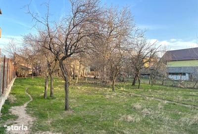 Casă cu 3 camere cu Teren 1095 Mp în Pârneava - 7