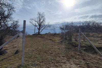 Teren de 3000 mp, în Central