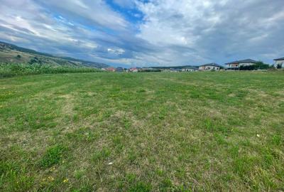 Teren de 5800 mp, în Corușu