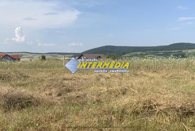 Teren Construcții intravilan de 20 mp, în Cetate - 3