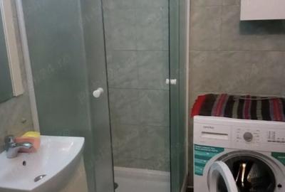Garsonieră decomandată în Podgoria - 3