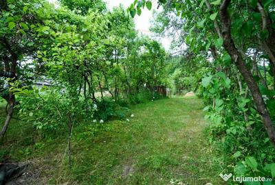 Casă cu 3 camere cu Teren 4696 Mp în Central - 5
