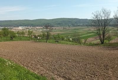 Teren în Micești - 7