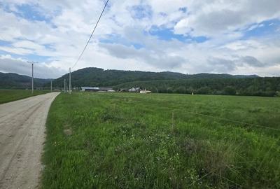 Teren de 5000 mp, în Central - 2