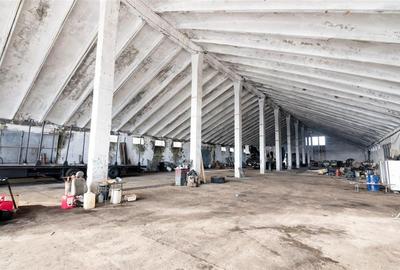 Spațiu industrial, de 1,483 mp, în Tileagd - 9