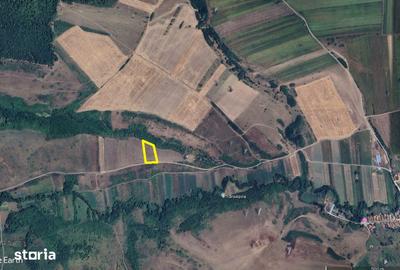 Teren de 2500 mp, în Central