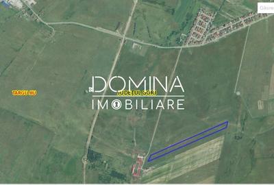 Teren agricol extravilan de 25254 mp, în Preajba - 4