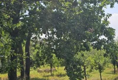 Teren de 572 mp, în Băicoi - 13